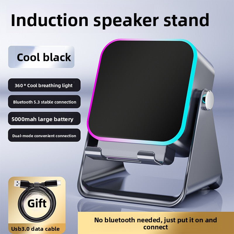 Wireless Speaker Stand